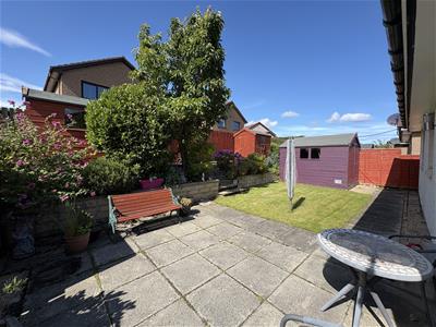 Picture 20
